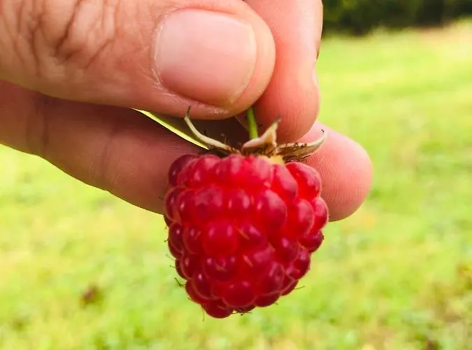 Apartment La Galayca *