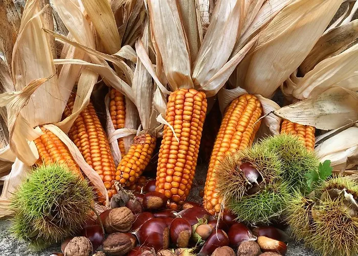 La Galayca Apartment