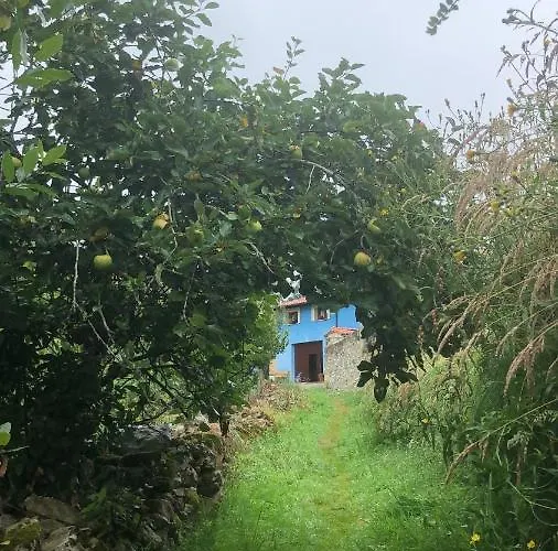 La Galayca Apartment El Barcenal