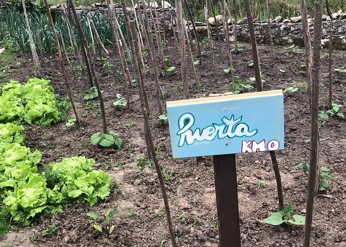 La Galayca Apartment *