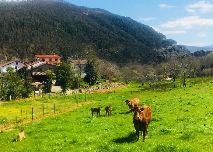 Apartment La Galayca